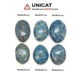 Palm Stone Apatit Albastru Druzy Natural - 57-70 x 42-64 x 23-31 mm - (XXL) - 1 Buc